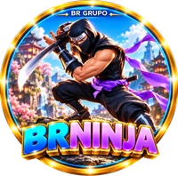 BR NINJA