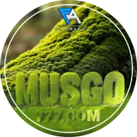 MUSGOS 777