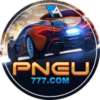 PNEUS 777