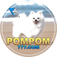 POMPOMS 777