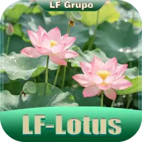 LF LOTUS