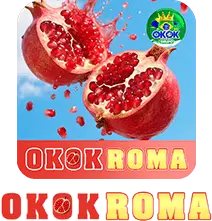 OKOK ROMA