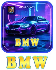 VOY BMW